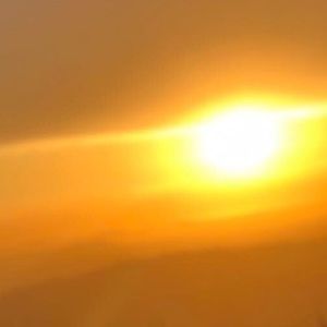 Meet your Posher, Adrian